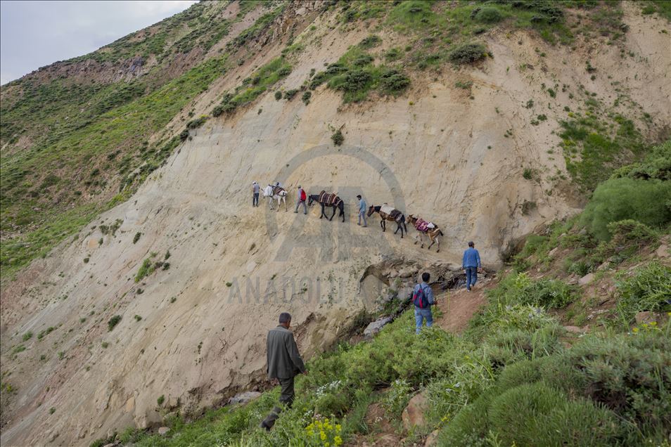 Elazığ ve Bingöl'ün "kalbi": Gerendal Gölü