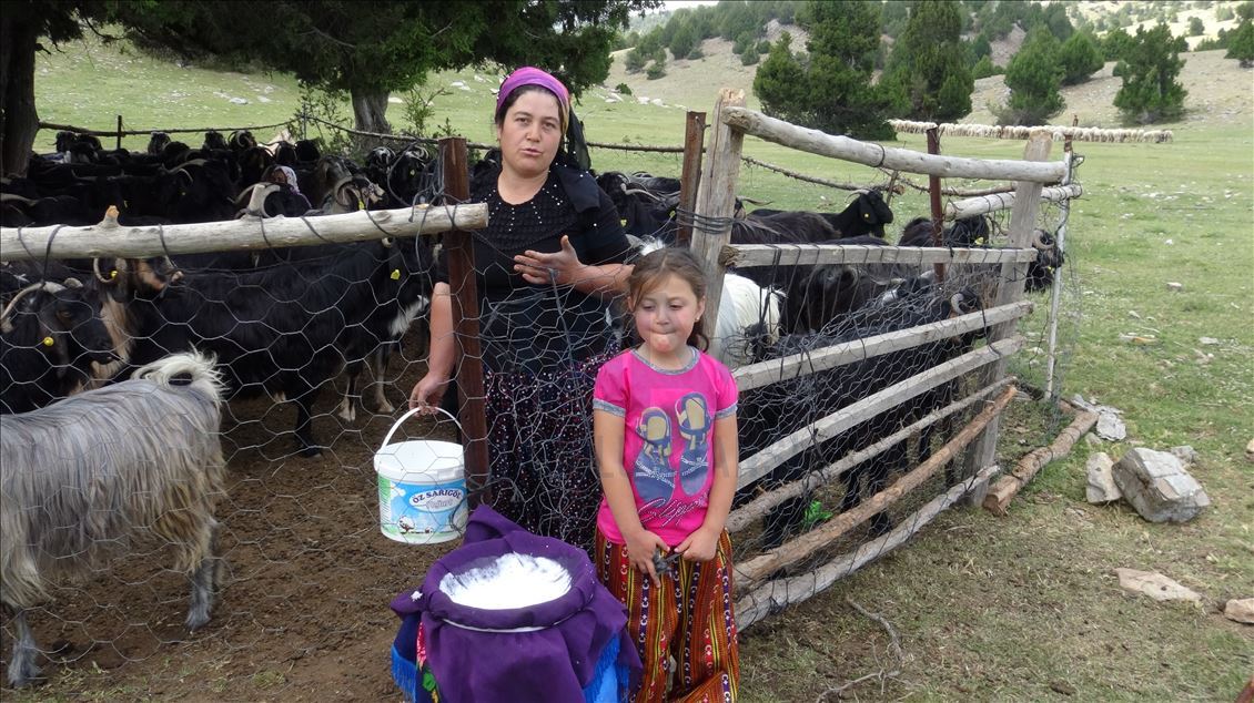 Karakeçili yörük kadınların zorlu yayla mesaisi