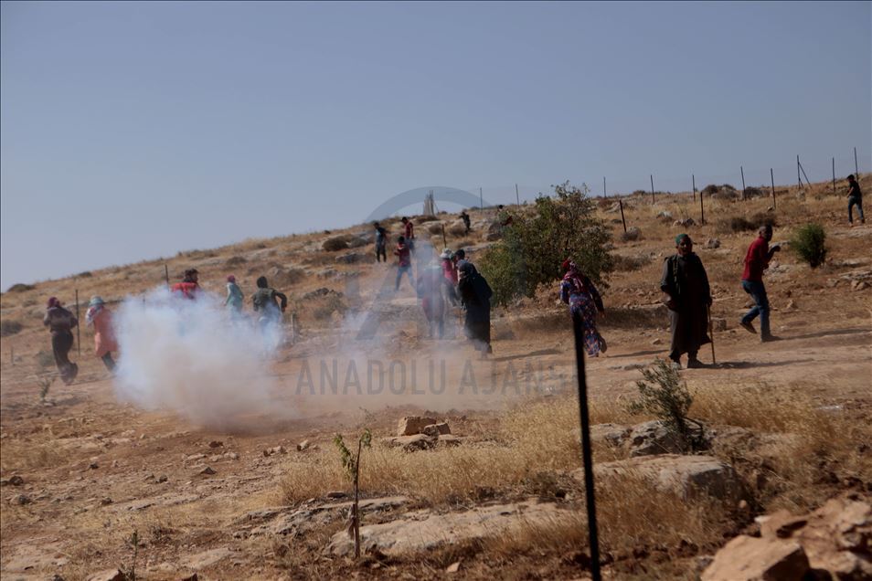 Pasukan Israel hancurkan 2 kediaman keluarga Palestina di Tepi Barat