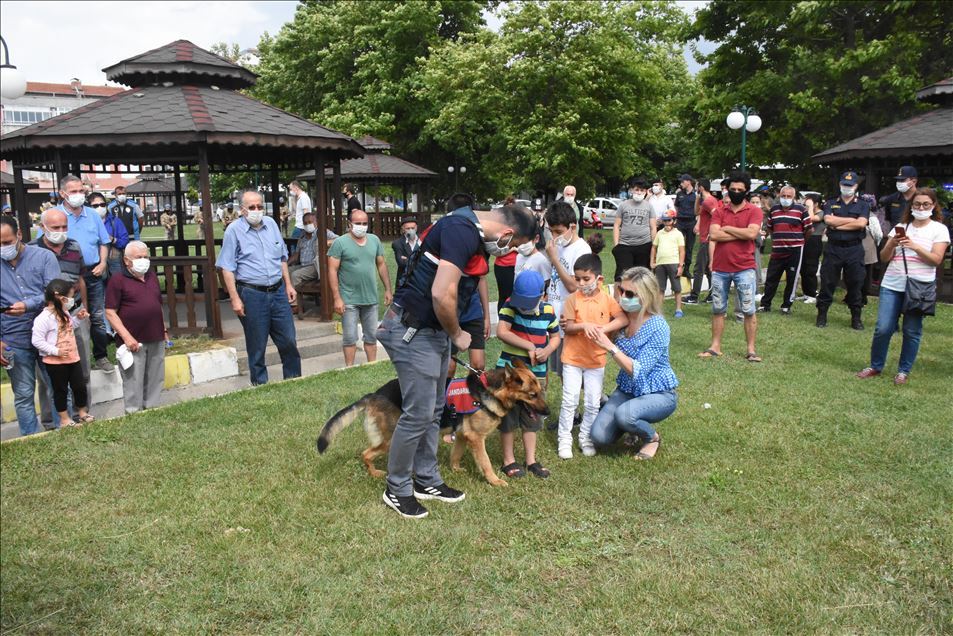 Zonguldak'ta atlı tim görevine başladı