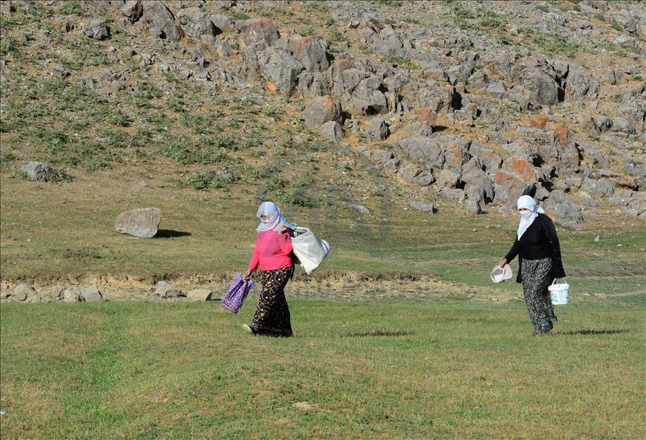 Bitlis'te "berivanlar" süt sağmak için her gün kilometrelerce yürüyor
