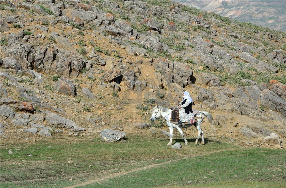 ژنه ئاژهڵدۆشهكانی بهدلیس رۆژانه دهیان كیلۆمهتر دهبڕن بۆ دۆشینی مهڕ و ماڵاتهكانیان
