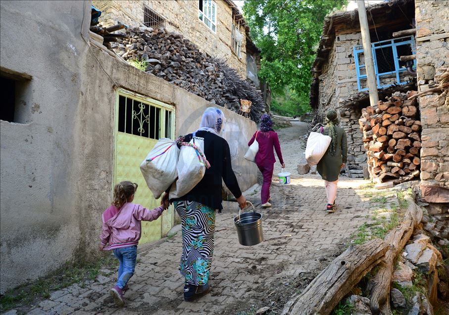 Bitlis'te "berivanlar" süt sağmak için her gün kilometrelerce yürüyor