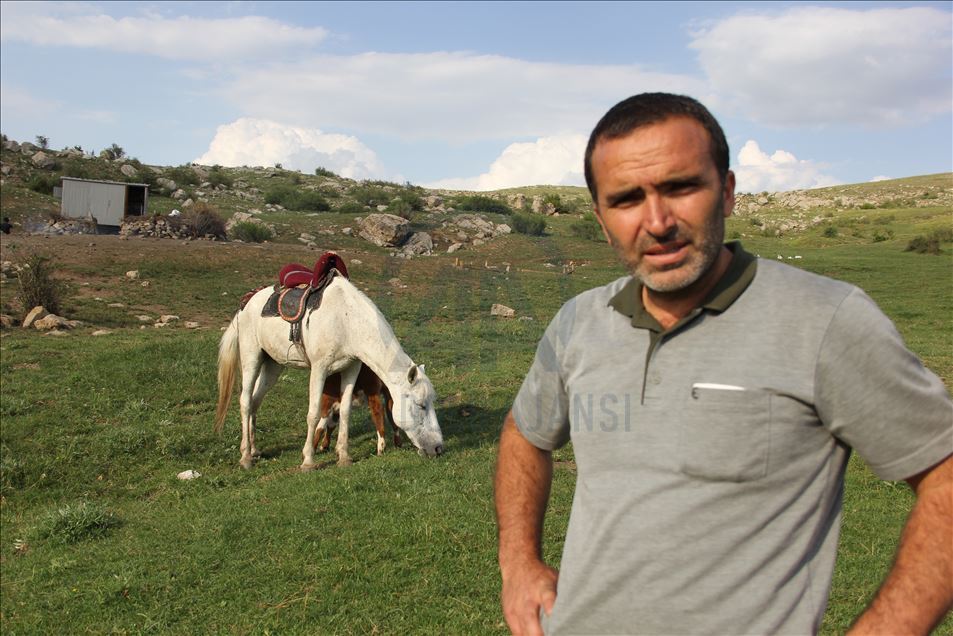 Kurdun yediği ineğin danasına at sahip çıktı