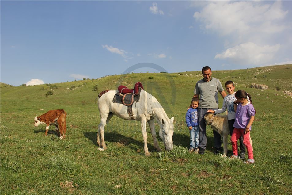 Kurdun yediği ineğin danasına at sahip çıktı