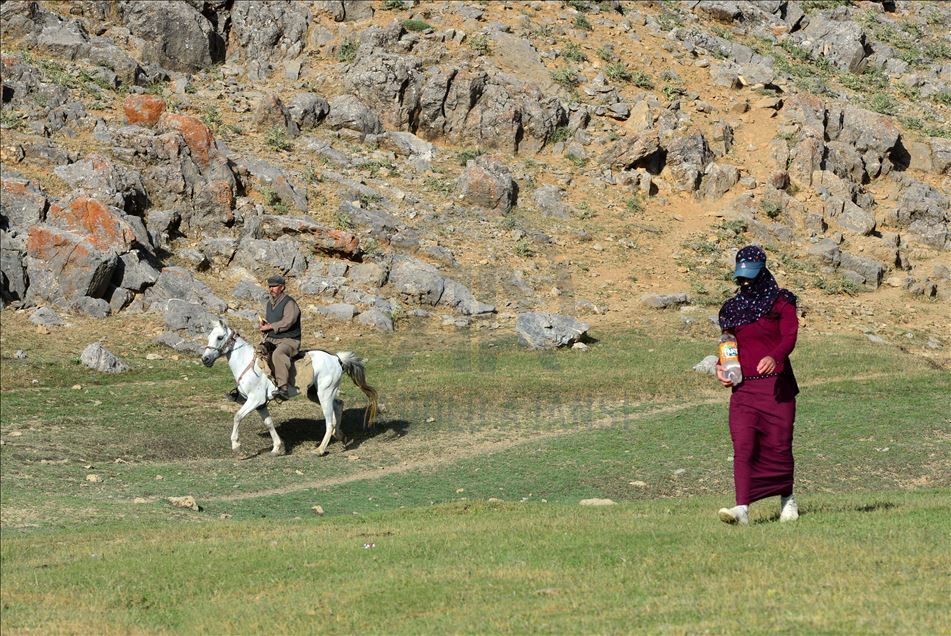 ژنه ئاژهڵدۆشهكانی بهدلیس رۆژانه دهیان كیلۆمهتر دهبڕن بۆ دۆشینی مهڕ و ماڵاتهكانیان