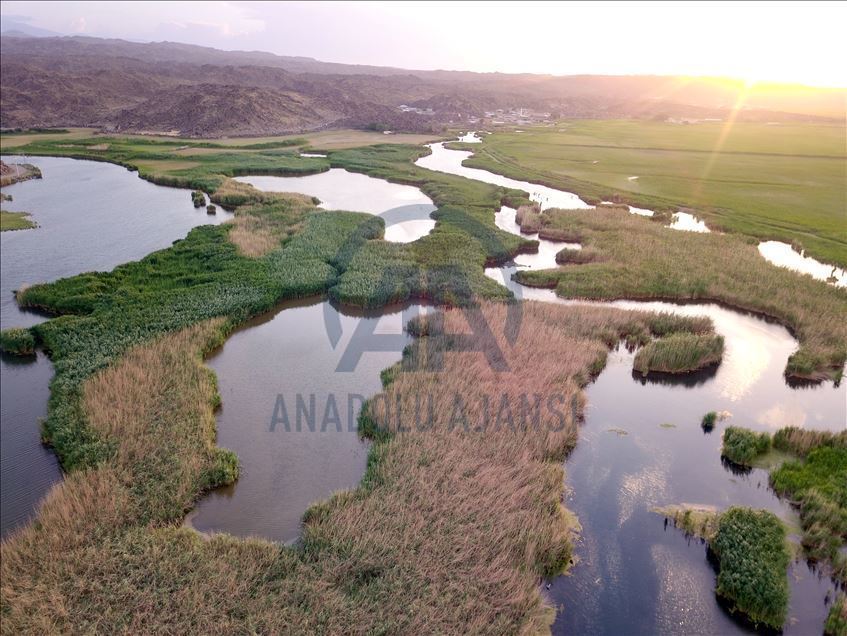 Национальный парк Агры: Дикая природа востока Турции 19