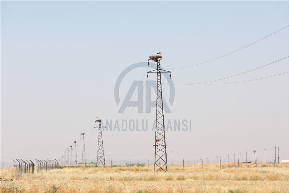 لەقلەقە دڵناسکەکانی بەردەڕەش سەرنجی گەشتیاران رادەکێشن