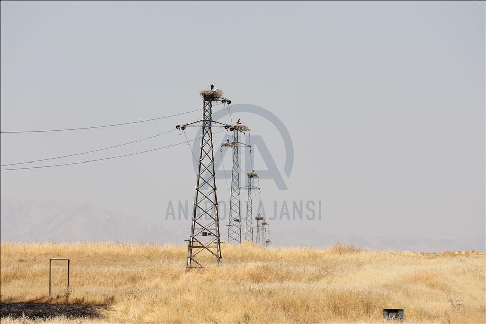 لەقلەقە دڵناسکەکانی بەردەڕەش سەرنجی گەشتیاران رادەکێشن