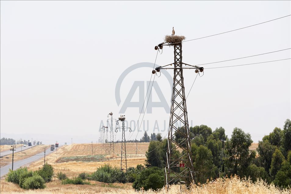 لەقلەقە دڵناسکەکانی بەردەڕەش سەرنجی گەشتیاران رادەکێشن