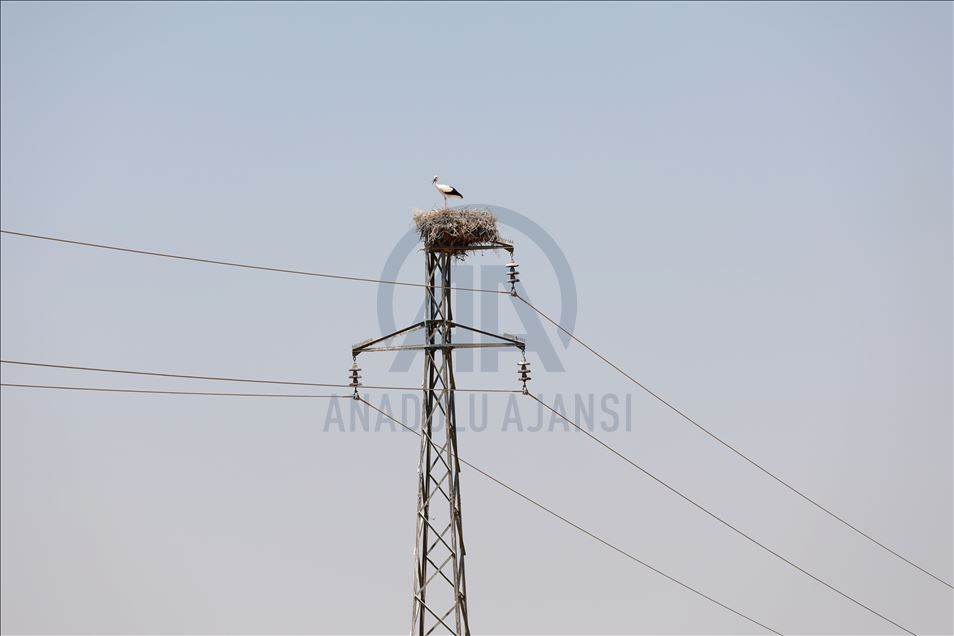 لەقلەقە دڵناسکەکانی بەردەڕەش سەرنجی گەشتیاران رادەکێشن