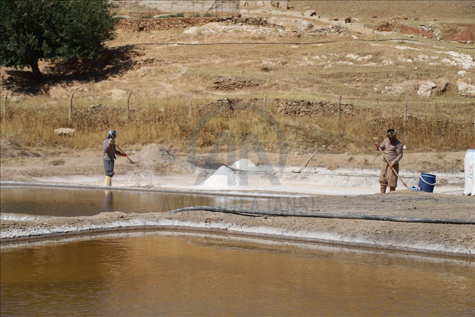 سلێمانی.. دانیشتوانی گوندێک ٢٠٠ ساڵە لە ئاوی کانیاو خوێ بەرهەمدەهێنن
