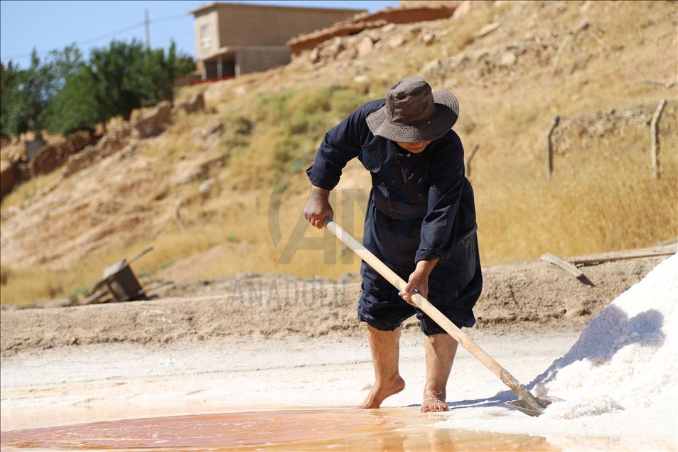 سلێمانی.. دانیشتوانی گوندێک ٢٠٠ ساڵە لە ئاوی کانیاو خوێ بەرهەمدەهێنن