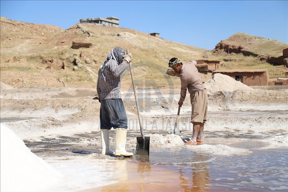 سلێمانی.. دانیشتوانی گوندێک ٢٠٠ ساڵە لە ئاوی کانیاو خوێ بەرهەمدەهێنن
