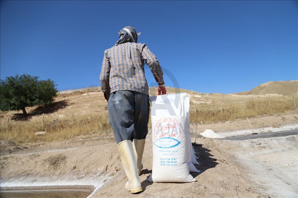 سلێمانی.. دانیشتوانی گوندێک ٢٠٠ ساڵە لە ئاوی کانیاو خوێ بەرهەمدەهێنن