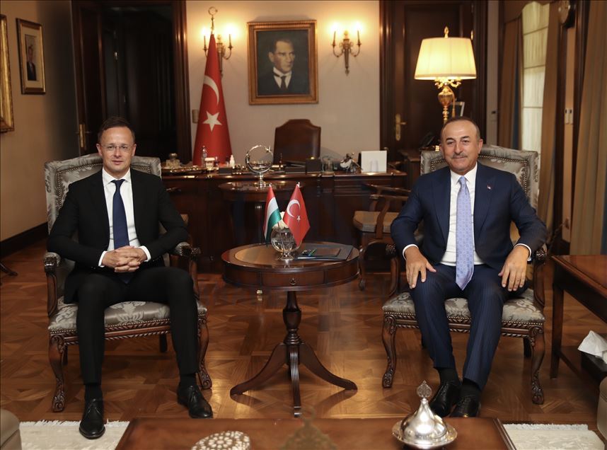 دیدار چاووشاوغلو با وزیر امور خارجه و تجارت خارجی مجارستان در آنکارا