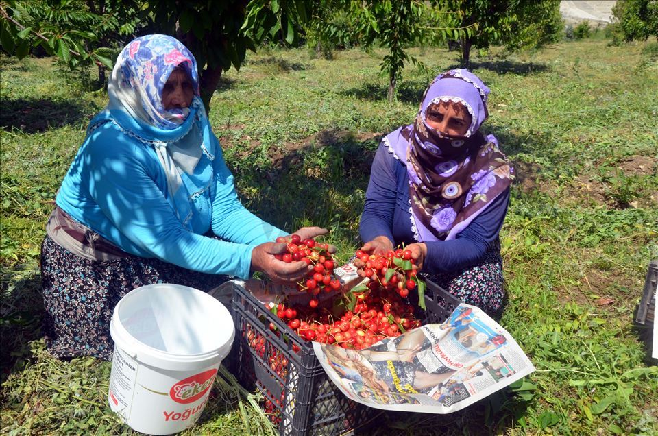 Li Mûşê Salîha Yuvança 72 salî bi piştgiriya dewletê bû hilberînera gêlasan