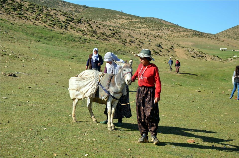 Li zozanên Mûşê pêz didoşin, mast, penêr û rûn çêdikin