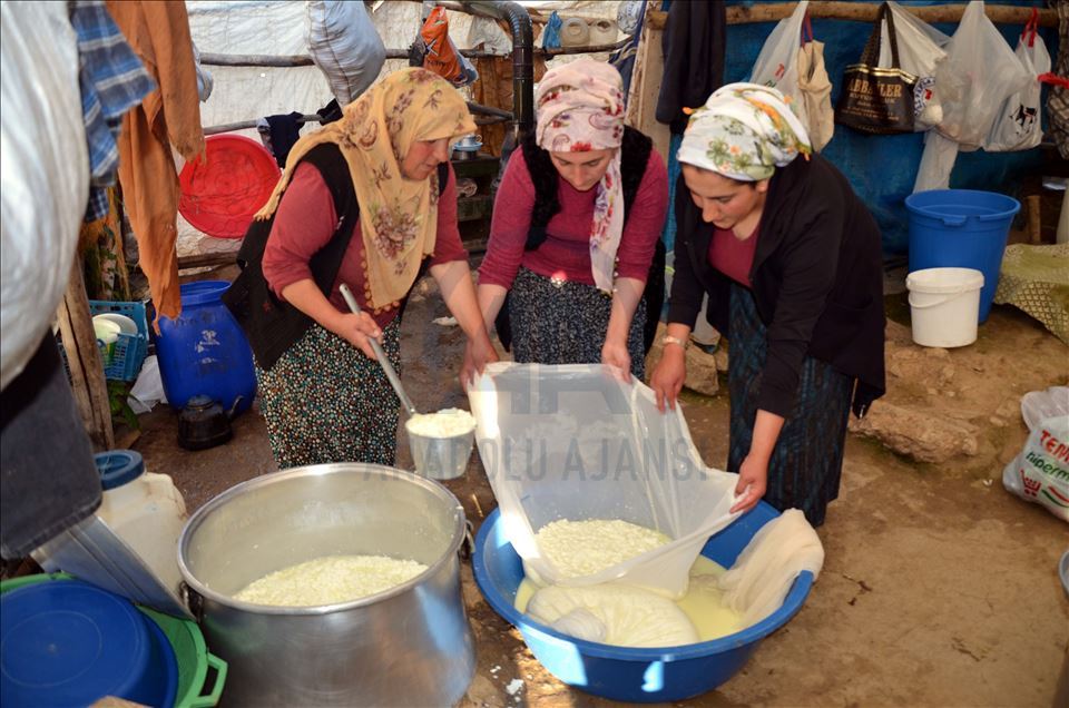 Li zozanên Mûşê pêz didoşin, mast, penêr û rûn çêdikin