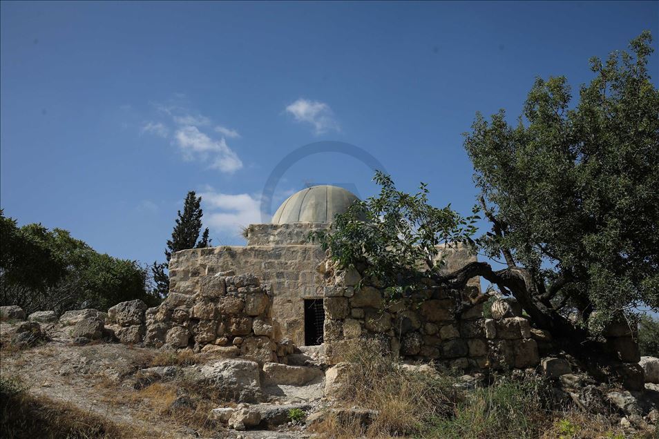 حمل خبير الآثار الأكاديمي الفلسطين