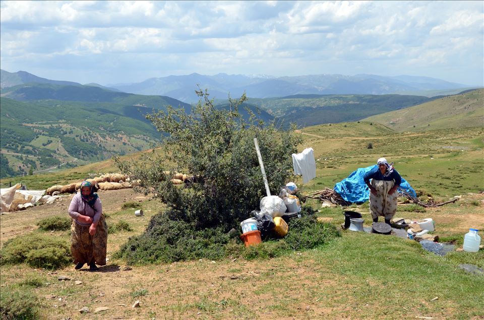 Muş'un yaylalarında kadınlar süt ürünleri yaparak bütçelerine katkı sağlıyor
