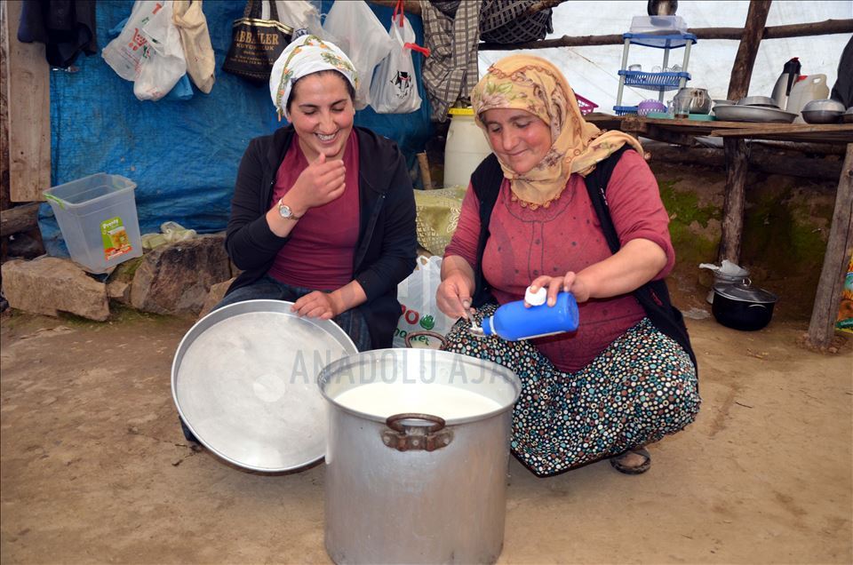 Li zozanên Mûşê pêz didoşin, mast, penêr û rûn çêdikin