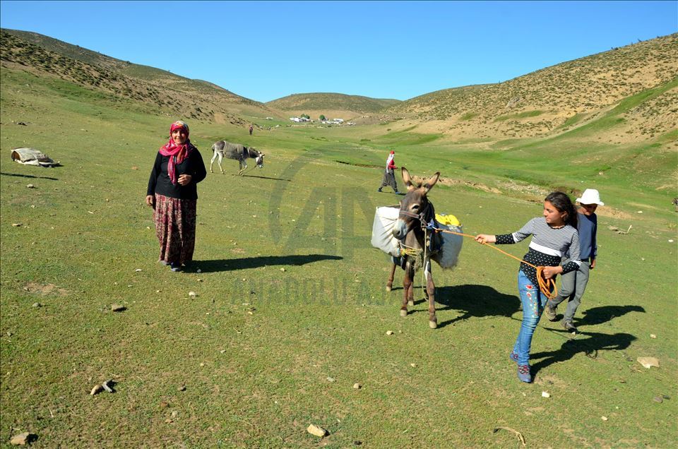 Li zozanên Mûşê pêz didoşin, mast, penêr û rûn çêdikin