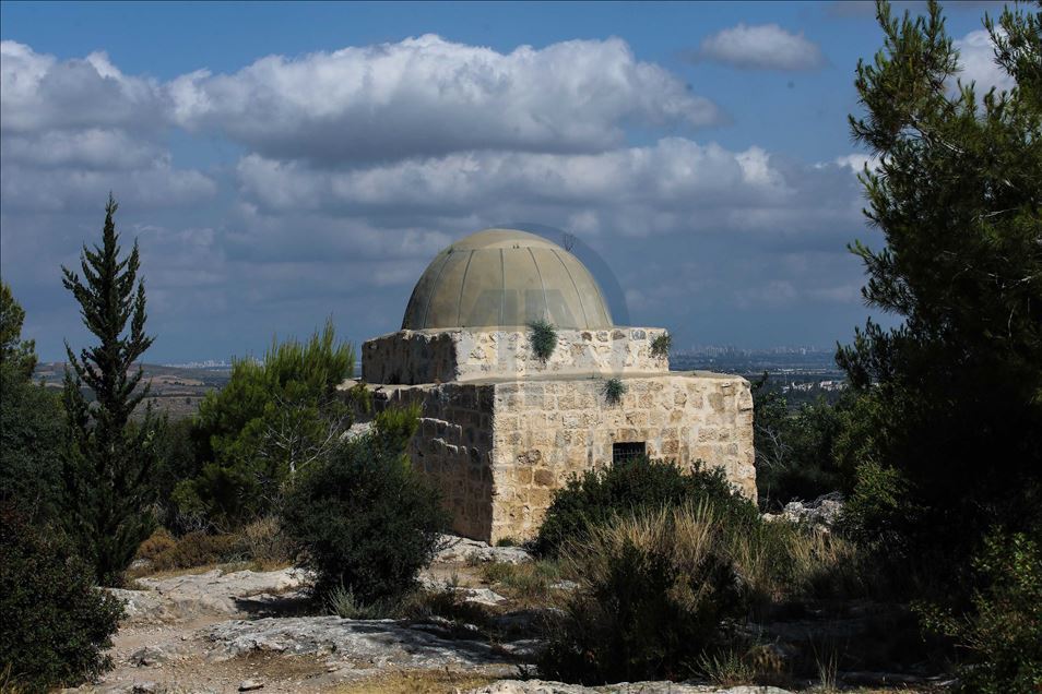 حمل خبير الآثار الأكاديمي الفلسطين