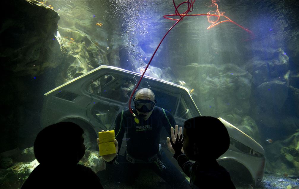 Aquarium diver in Turkey's capital Ankara