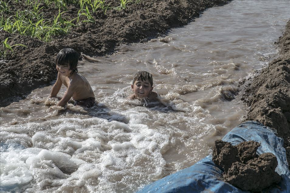 Hatay'da çocuklar, sulama suyunun aktığı yerlerde yaptıkları havuzlarda yüzerek serinlemeye çalışıyor
