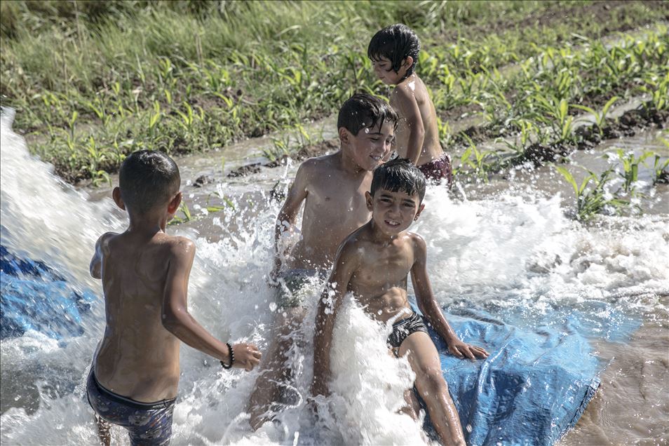 Hatay'da çocuklar, sulama suyunun aktığı yerlerde yaptıkları havuzlarda yüzerek serinlemeye çalışıyor
