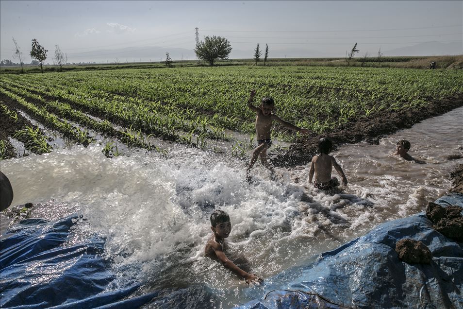 Hatay'da çocuklar, sulama suyunun aktığı yerlerde yaptıkları havuzlarda yüzerek serinlemeye çalışıyor
