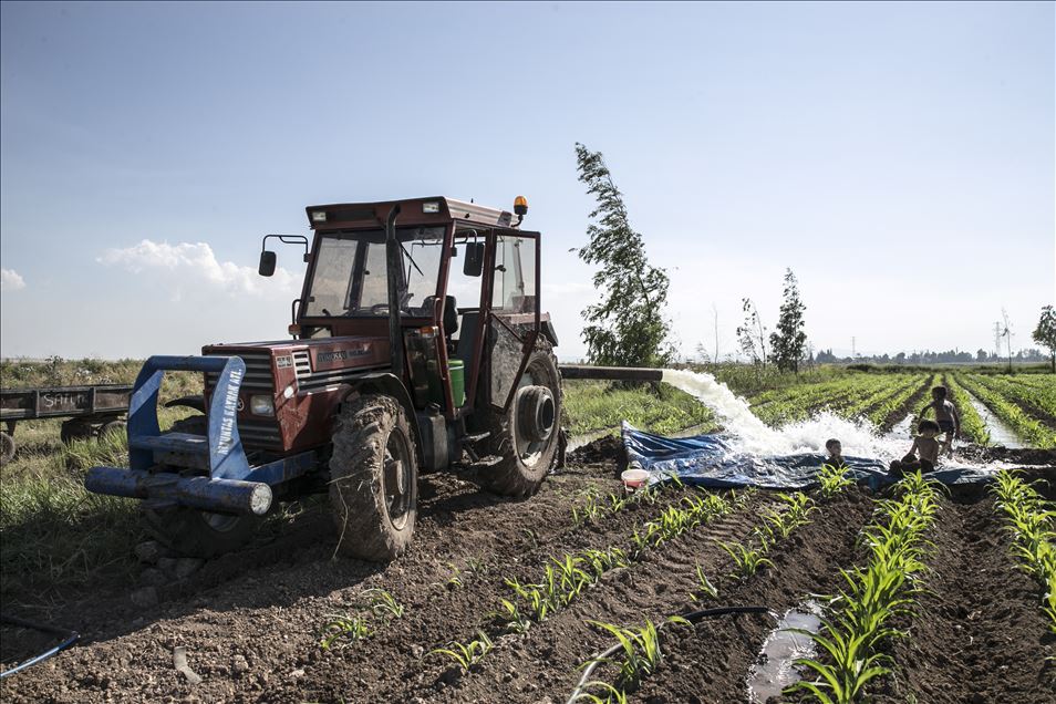 Hatay'da çocuklar, sulama suyunun aktığı yerlerde yaptıkları havuzlarda yüzerek serinlemeye çalışıyor
