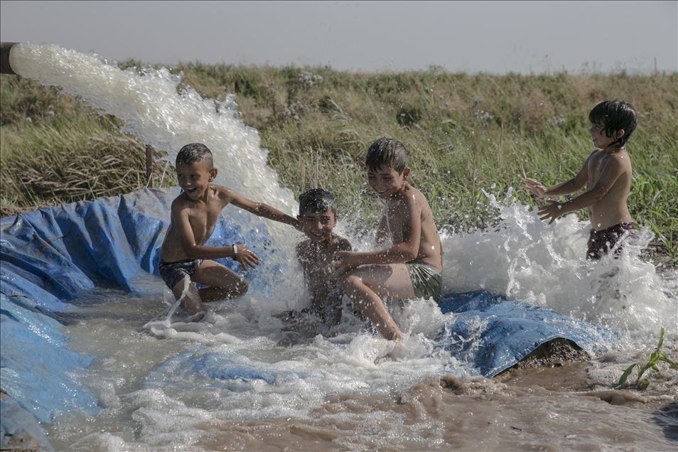 Hatay'da çocuklar, sulama suyunun aktığı yerlerde yaptıkları havuzlarda yüzerek serinlemeye çalışıyor
