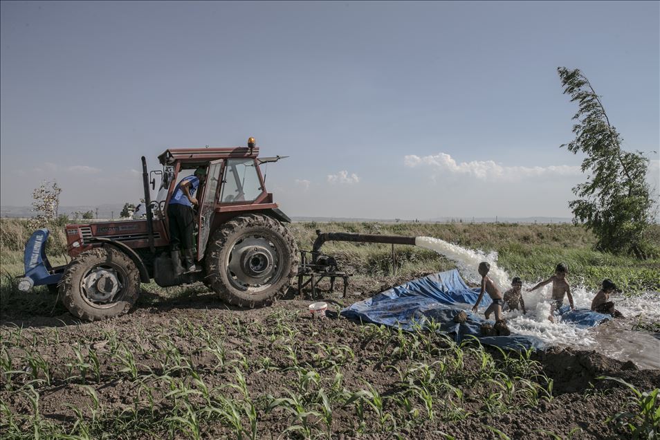 Hatay'da çocuklar, sulama suyunun aktığı yerlerde yaptıkları havuzlarda yüzerek serinlemeye çalışıyor
