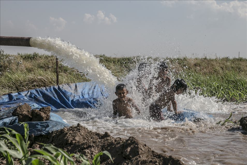 Hatay'da çocuklar, sulama suyunun aktığı yerlerde yaptıkları havuzlarda yüzerek serinlemeye çalışıyor
