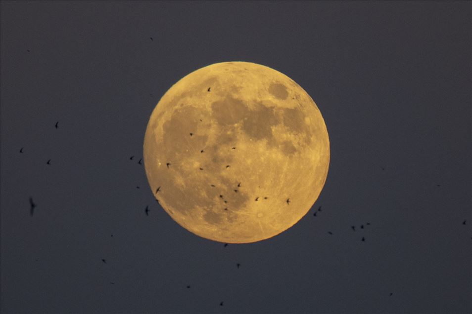 Sunset and full moon in Turkish capital
