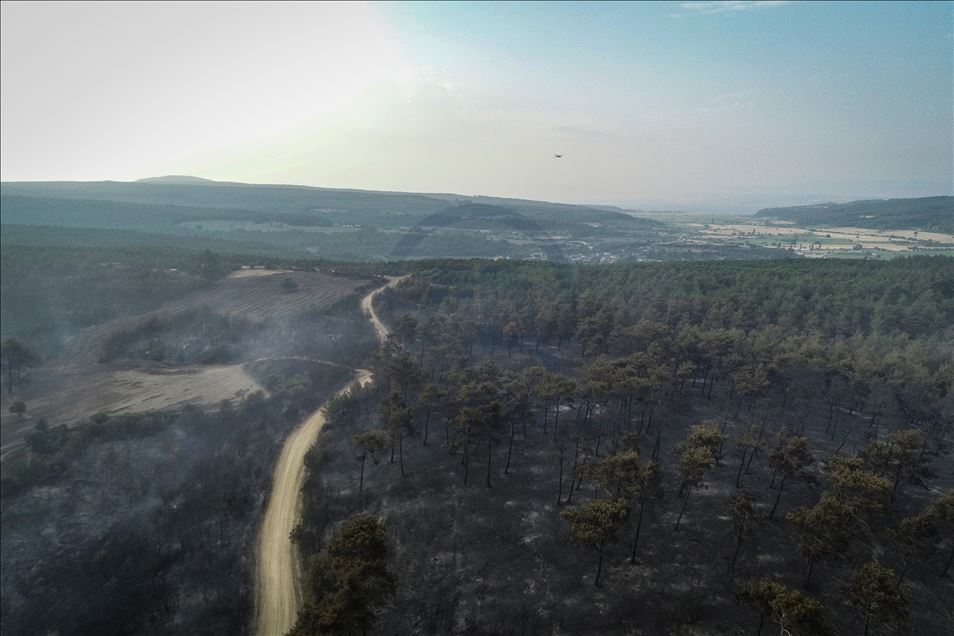 Forest fire in northwest Turkey