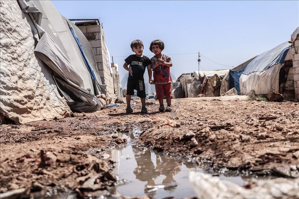 Në kampet e refugjatëve në Idlib po përhapet sëmundja Leishmanioza