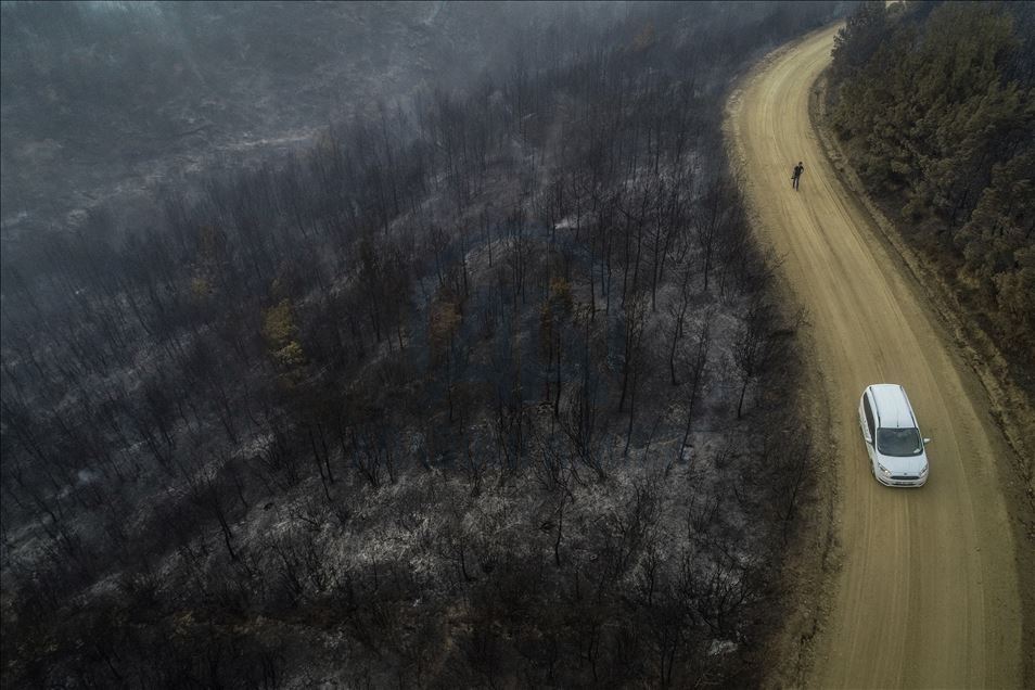 Forest fire in northwest Turkey