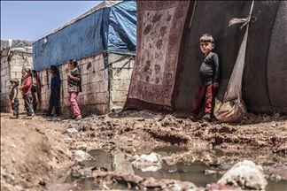 Në kampet e refugjatëve në Idlib po përhapet sëmundja Leishmanioza