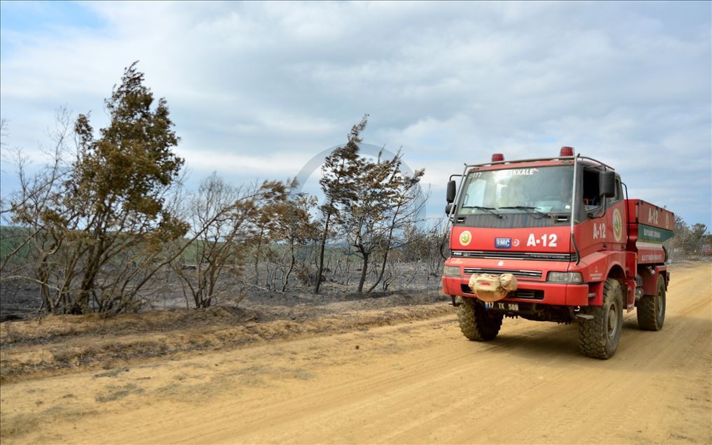 Çanakkale'deki orman yangınına tarım arazisinde yakılan ateşin neden olduğu iddiası araştırılıyor
