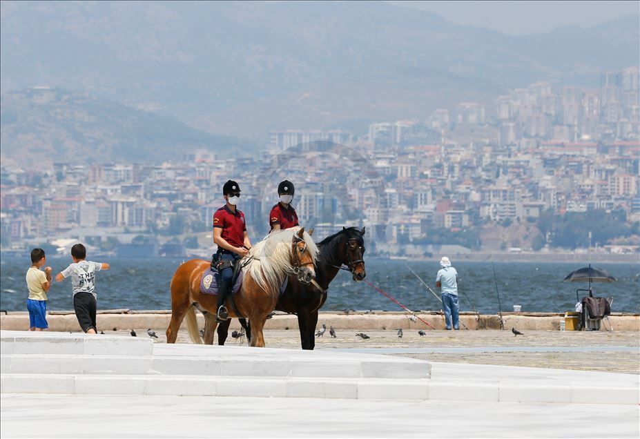 Faytondan "kurtulan" atların yeni görevi "güvenlik"