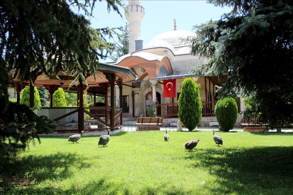 Edirne'deki "çevreci cami" cemaatinin desteğiyle güzelleşiyor