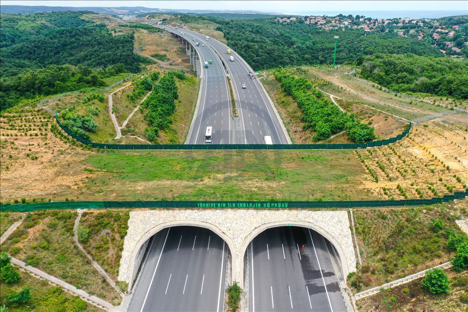 Safe passage route of wild animals in Turkey: Ecological bridges

