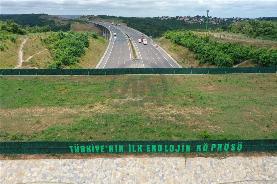 احداث مسیرهای ویژه عبور امن حیوانات در جاده‌های ترکیه
