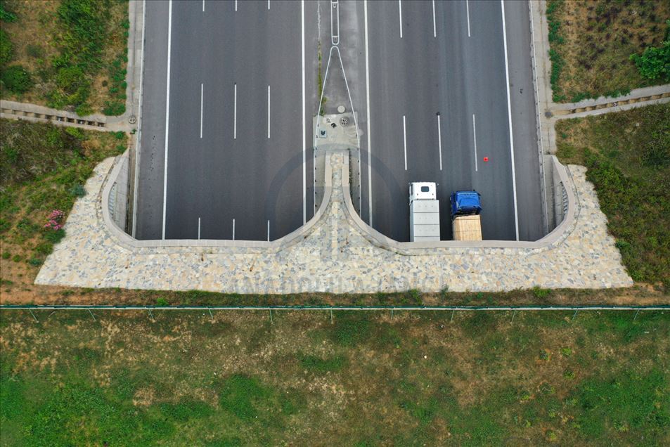 "Puentes para animales salvajes", una estrategia turca para evitar accidentes