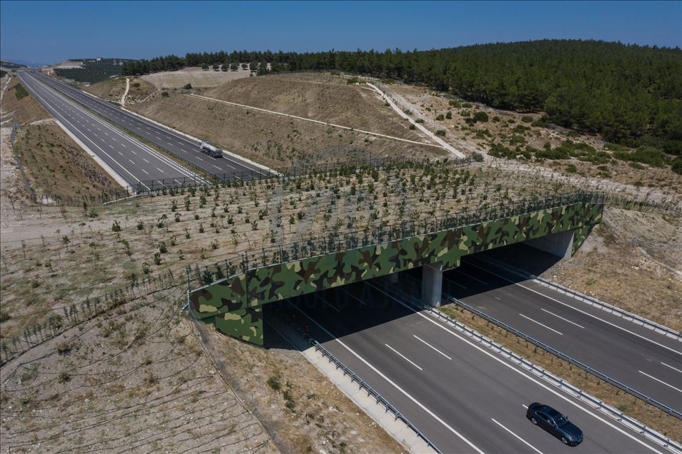 Safe passage route of wild animals in Turkey: Ecological bridges
