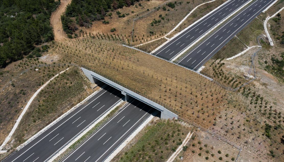 Safe passage route of wild animals in Turkey: Ecological bridges