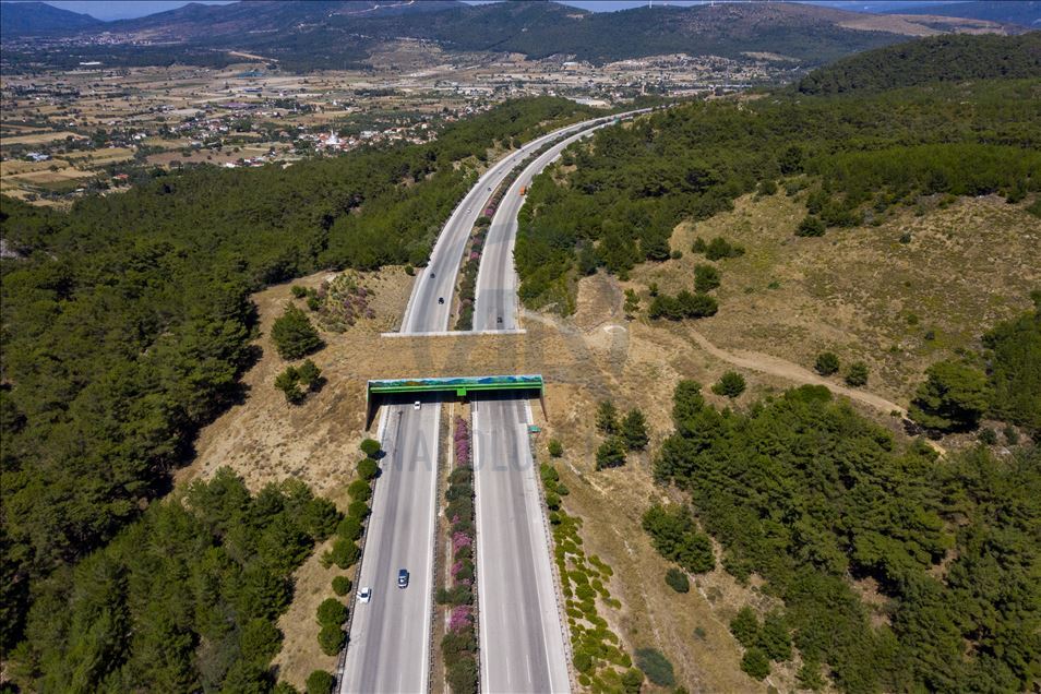 Safe passage route of wild animals in Turkey: Ecological bridges